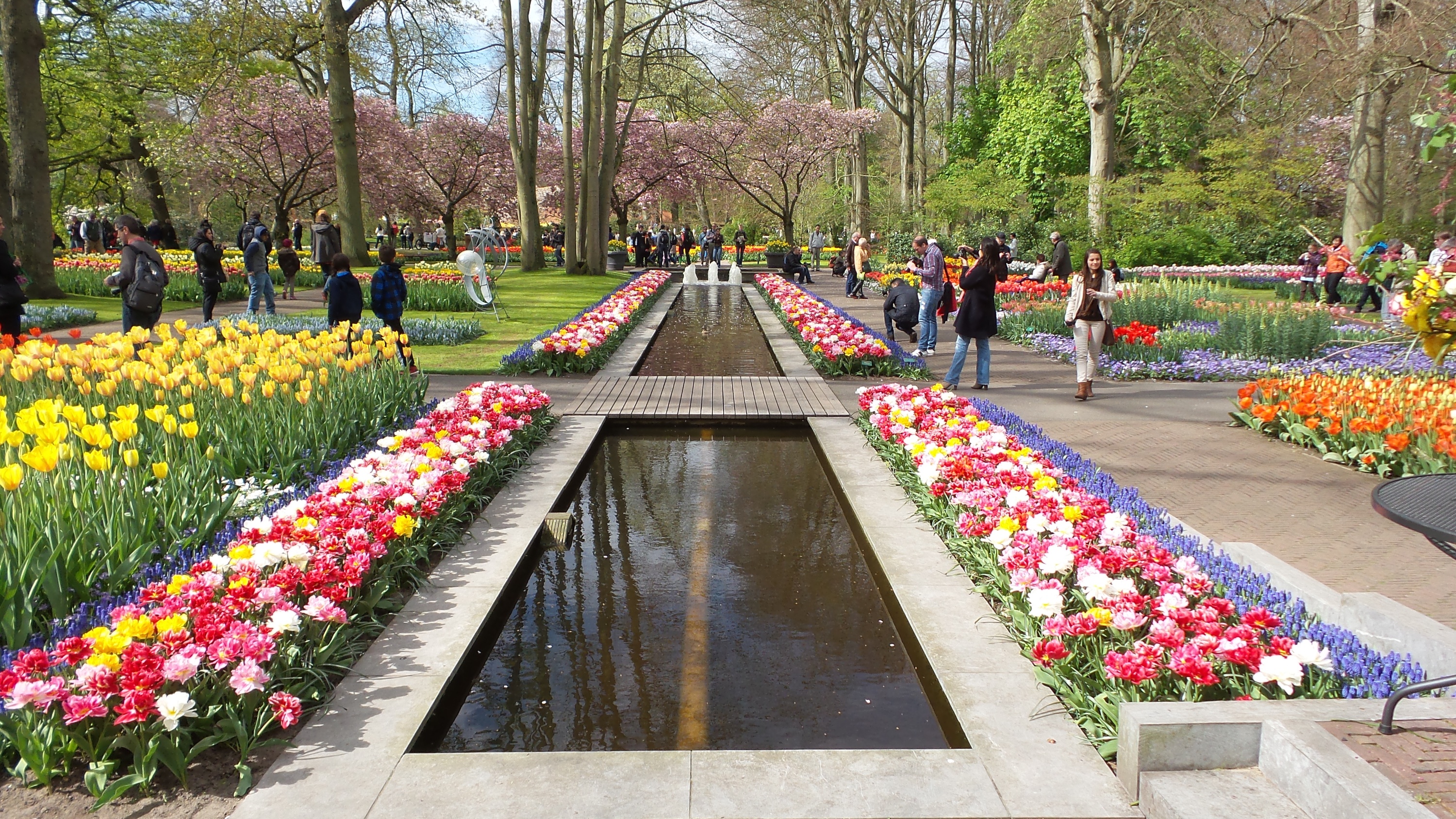2014-04-17 Holland Tulips 48.jpg
